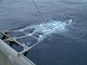 DSCF0090_thumb.jpg