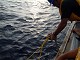 DSCF1008_thumb.jpg