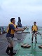 DSCF1018_thumb.jpg
